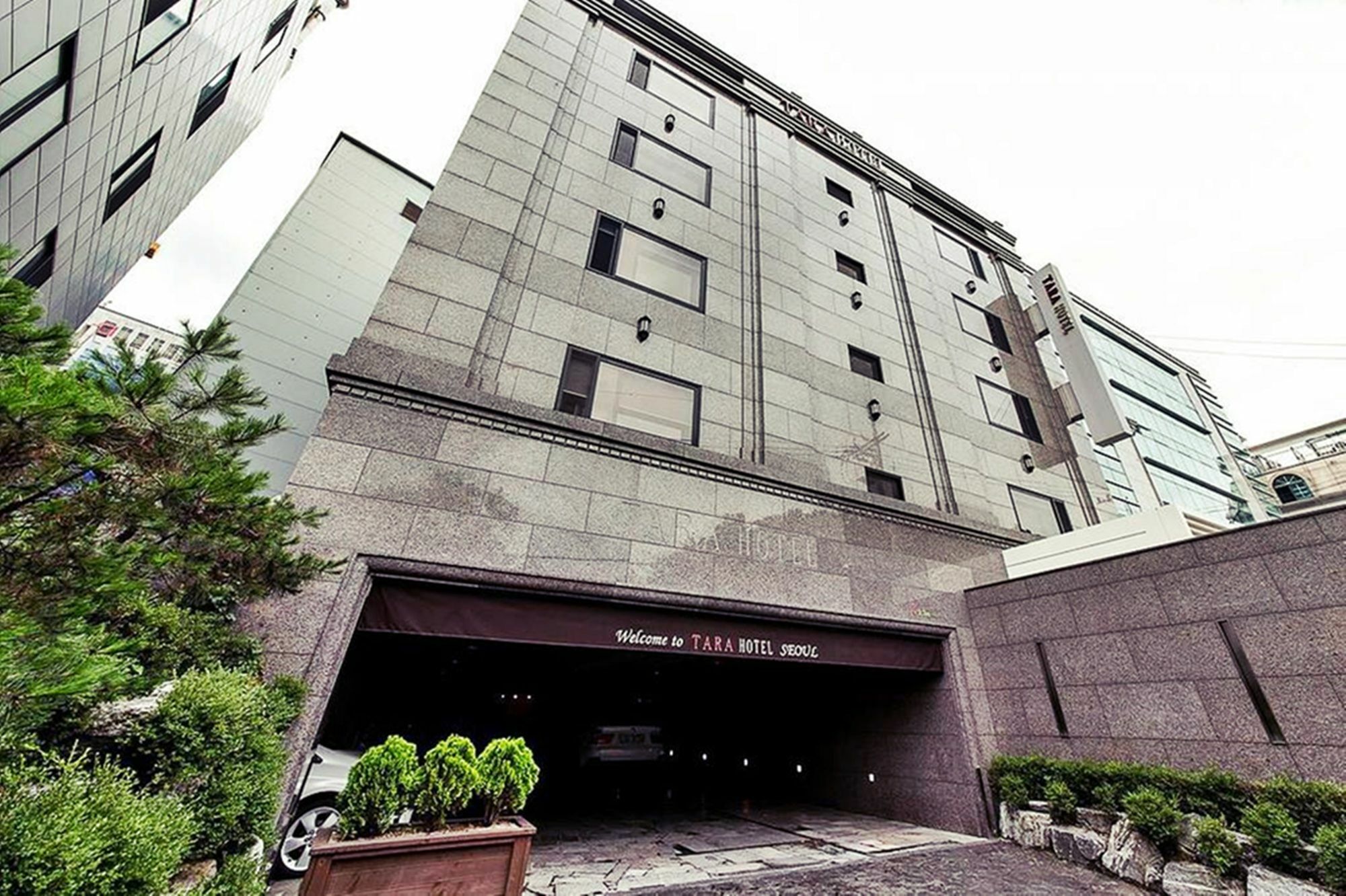 Tara Seoul